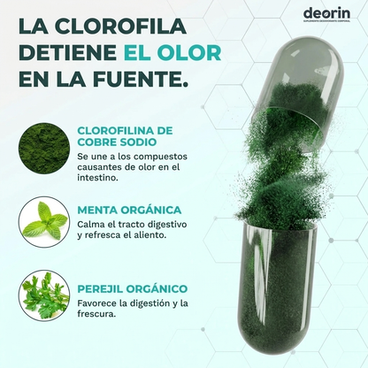 Deorin® Frescura desde dentro